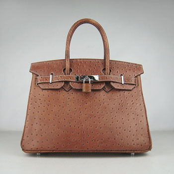 Hermes Birkin 30Cm Ostrich Stripe Handbags Chocolate Silver